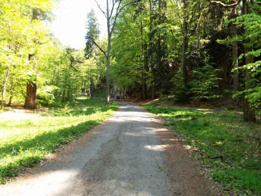 Hruboskalsko - cesta z arboreta Bukovina k Adamově loži