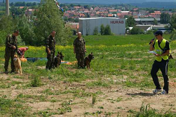 Vojenská policie předvedla zpacifikování nepřátel za pomocí psů