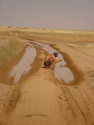 Na poušti se musí využít každý trošek vody! - aneb Zajícova hygiena